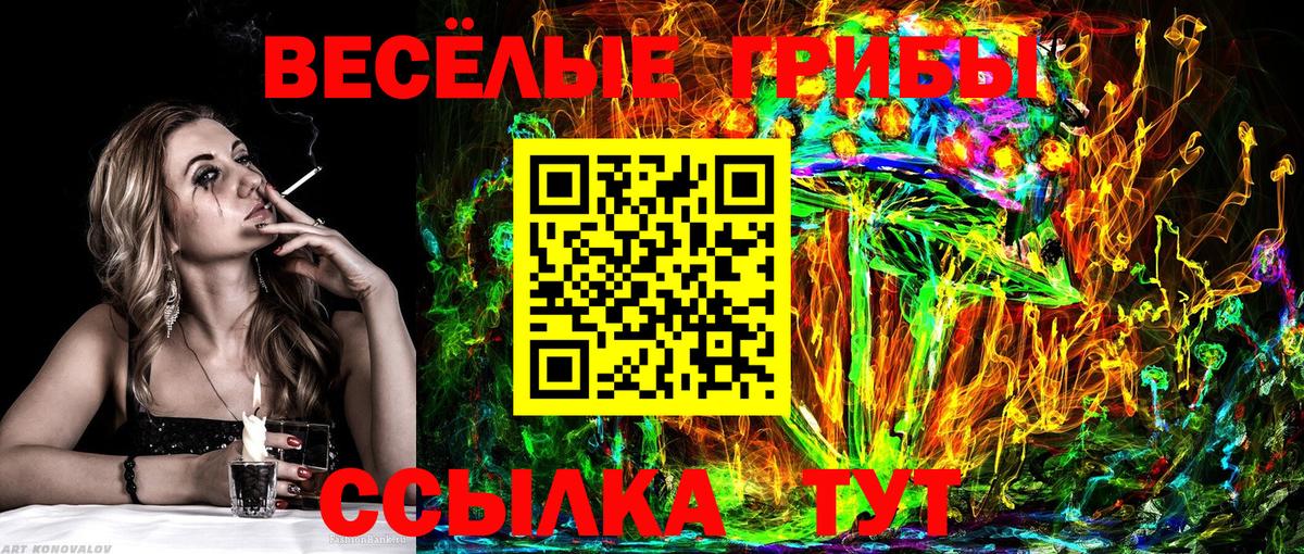 Галлюциногенные грибы Psilocybe  Псилоцибиновые грибы MAGIC MUSHROOMS  Вход с VPN  Качканар 