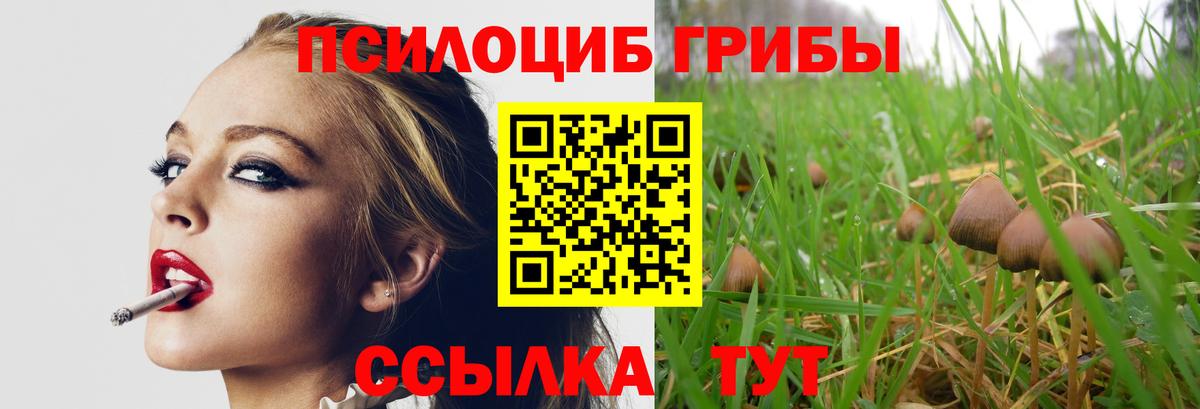Псилоцибиновые грибы MAGIC MUSHROOMS Качканар